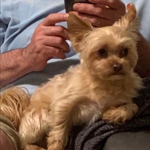 Meet your Posher, Ashley